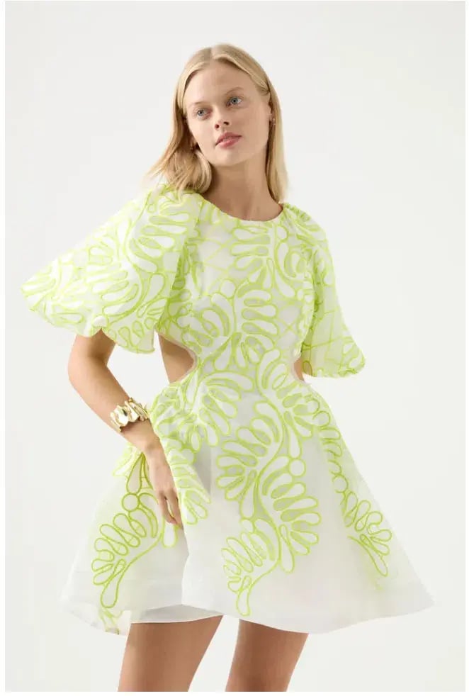 Aje Botanical Applique Mini Dress Ivory/Citrus Yellow Size XXS / AU 4 photo 2