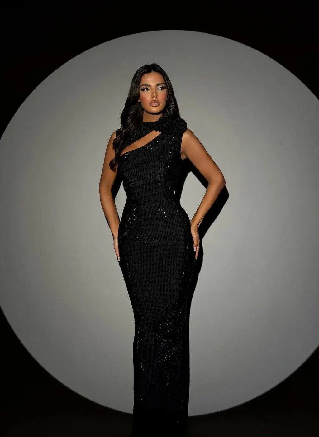 Diba Celina Heppa Gown Black Size 10 photo 2