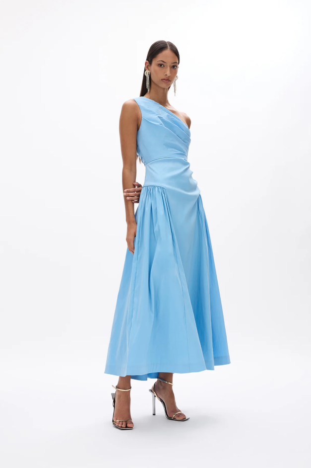 Rachel Gilbert Banksia Dress Blue photo 3