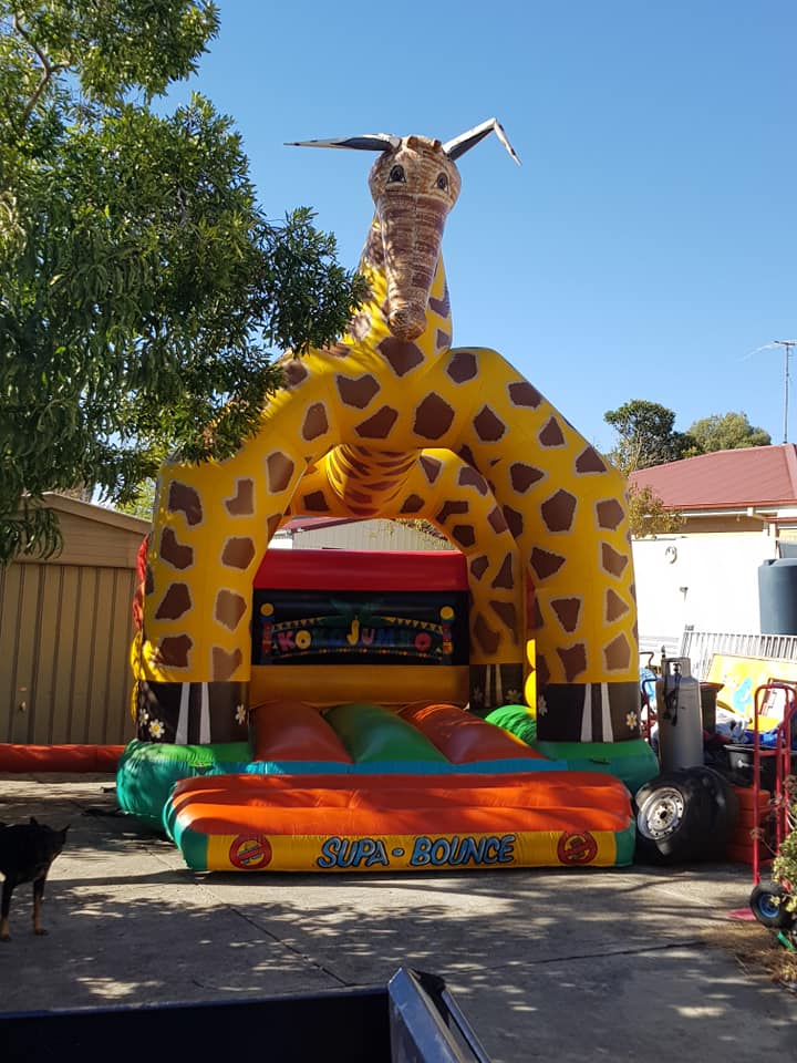 Jumping Castle & Amusement Ride Hire photo 7