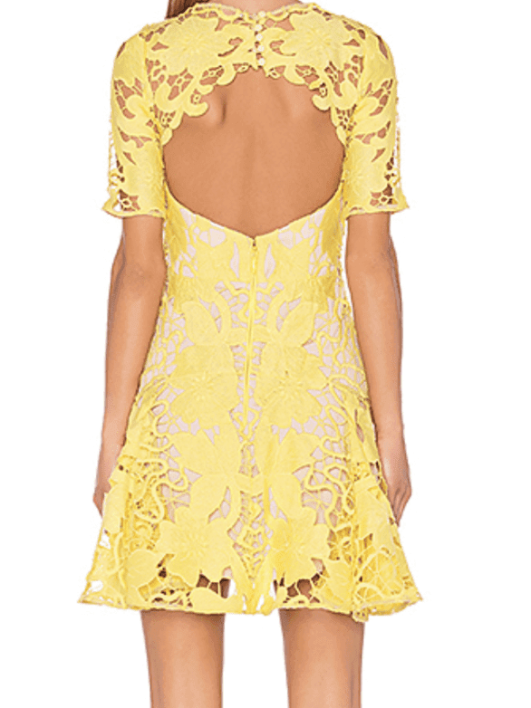Thurley Hollyhock Mini Dress photo 2