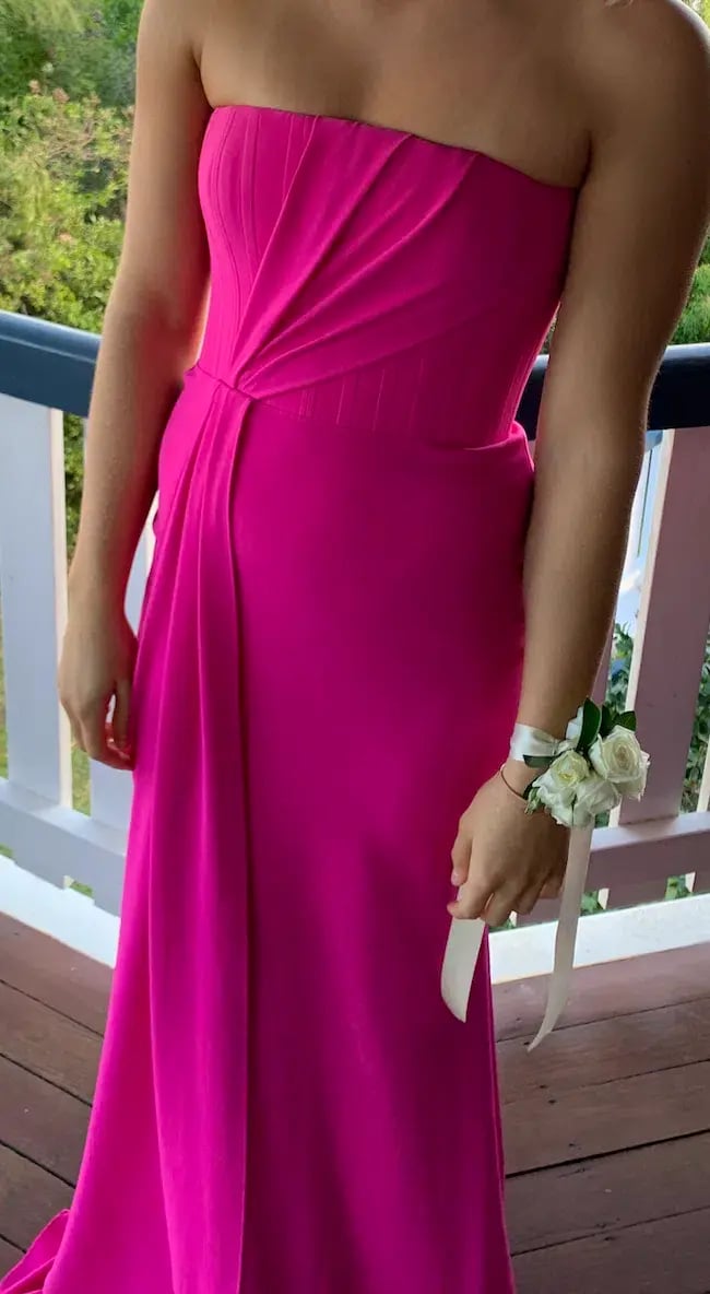 Alex Perry Garnet Gown Pink Size 8 photo 4