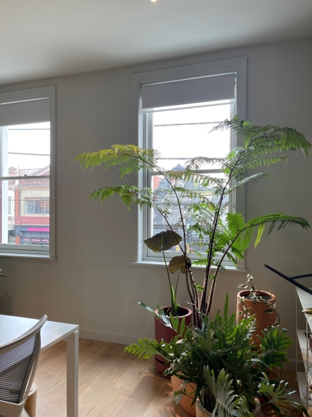 Shared office space on Brunswick St Fitzroy photo 5