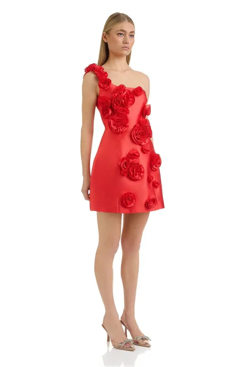 Eliya the Label Amara Dress Red Size S/ AU 8 photo 2