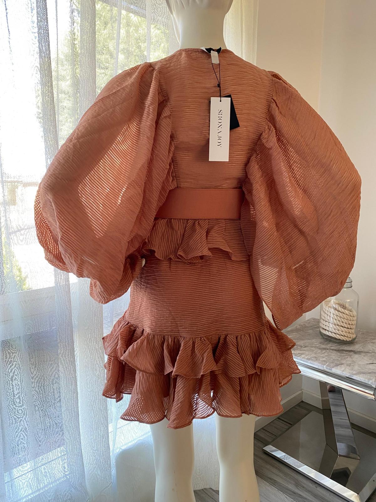 Charlotte Draped Mini Dress- Desert Rose photo 4