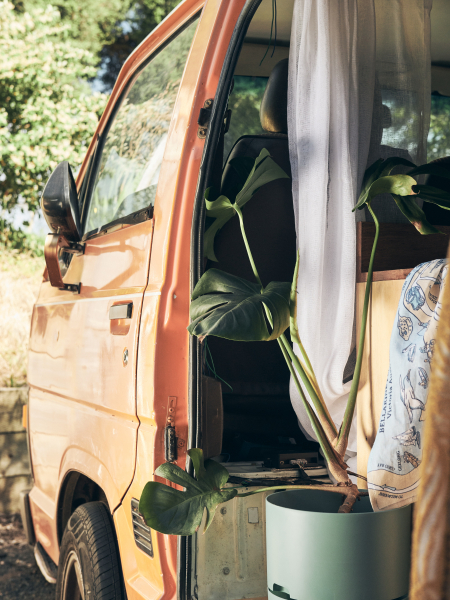 Poppy the Surf Van photo 3