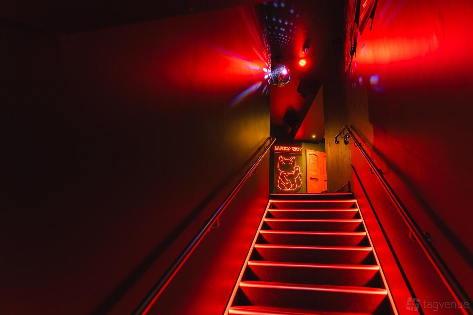 Entire Venue at Lucky Cat, Dumpling Bar & Lounge photo 15