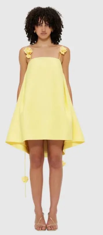 Leo Lin Fiona Rose Mini Dress Size 8 photo 2