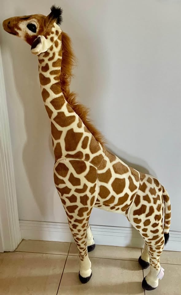 Jungle animals for hire photo 5