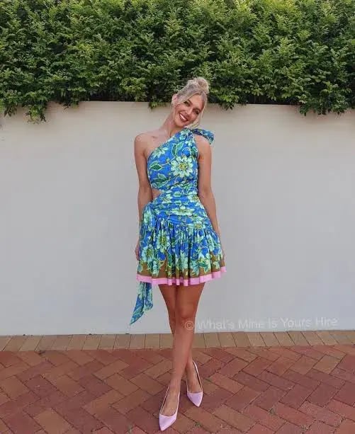Alemais Winnie Mini Dress Blue Print Size 6 photo 8
