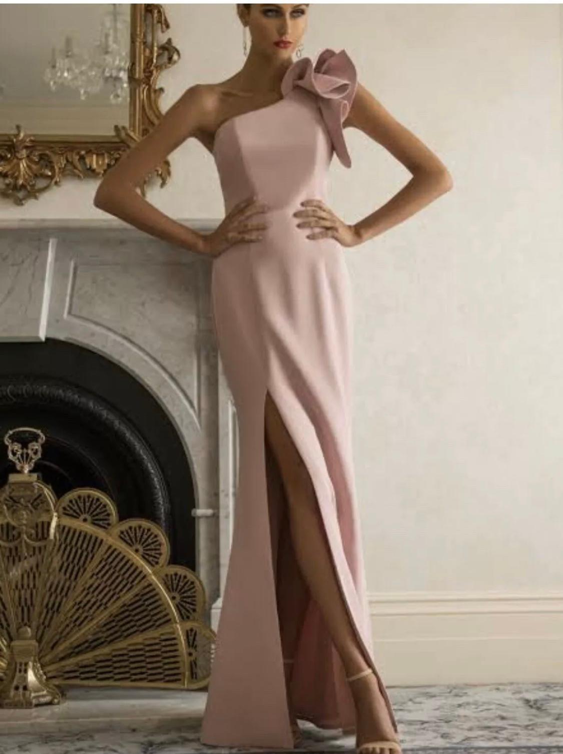 Bariano Pink Blush Long Dress photo 2