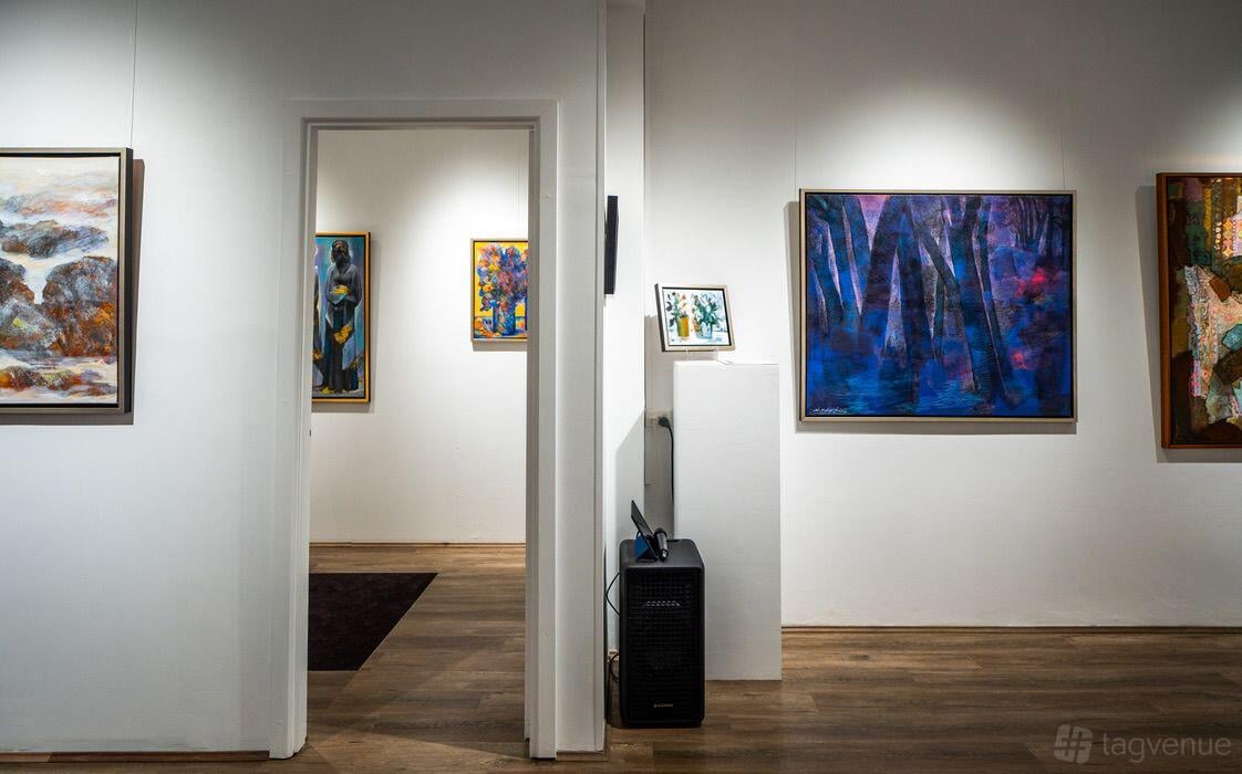 Entire Space at Palangi Gallery photo 3