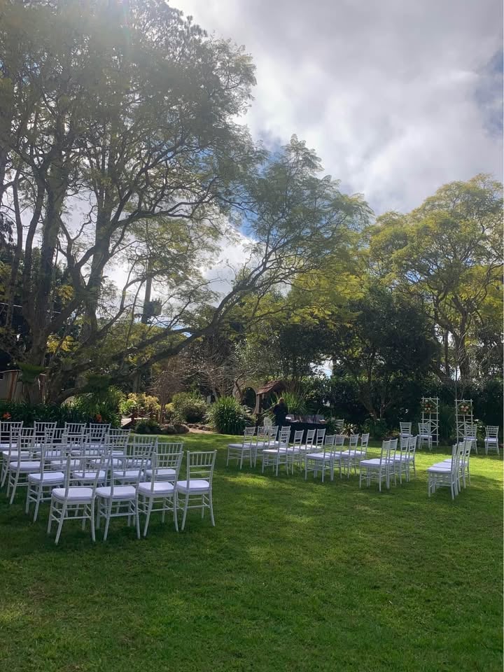 Tiffany Chairs for Hire photo 5