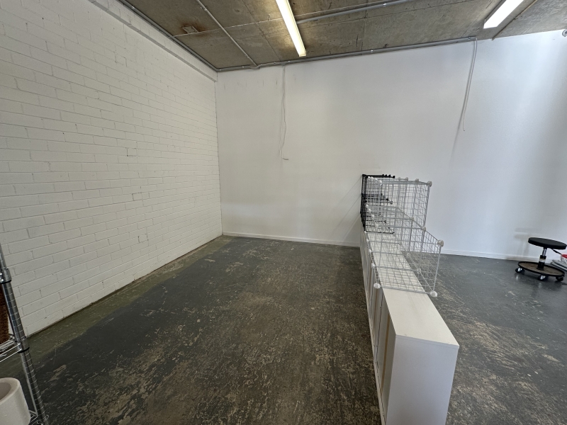 Studio spaces in heart of Balgowlah photo 3