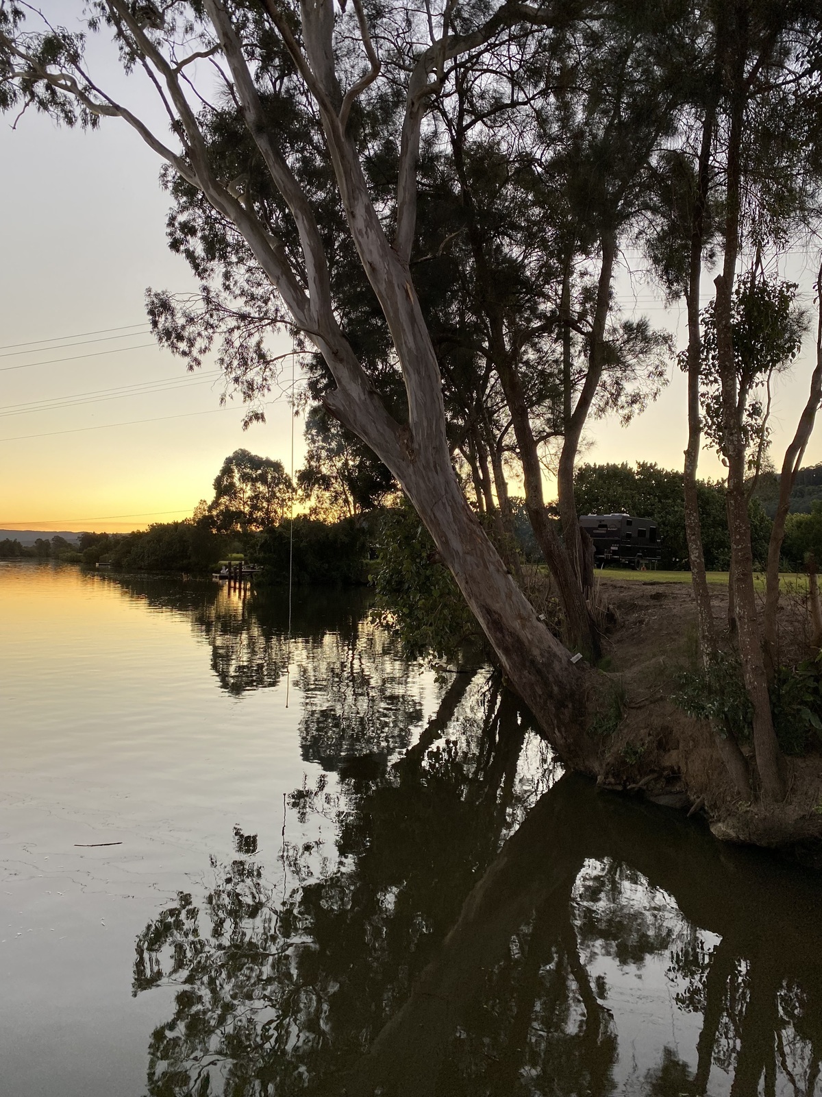River side oasis photo 6