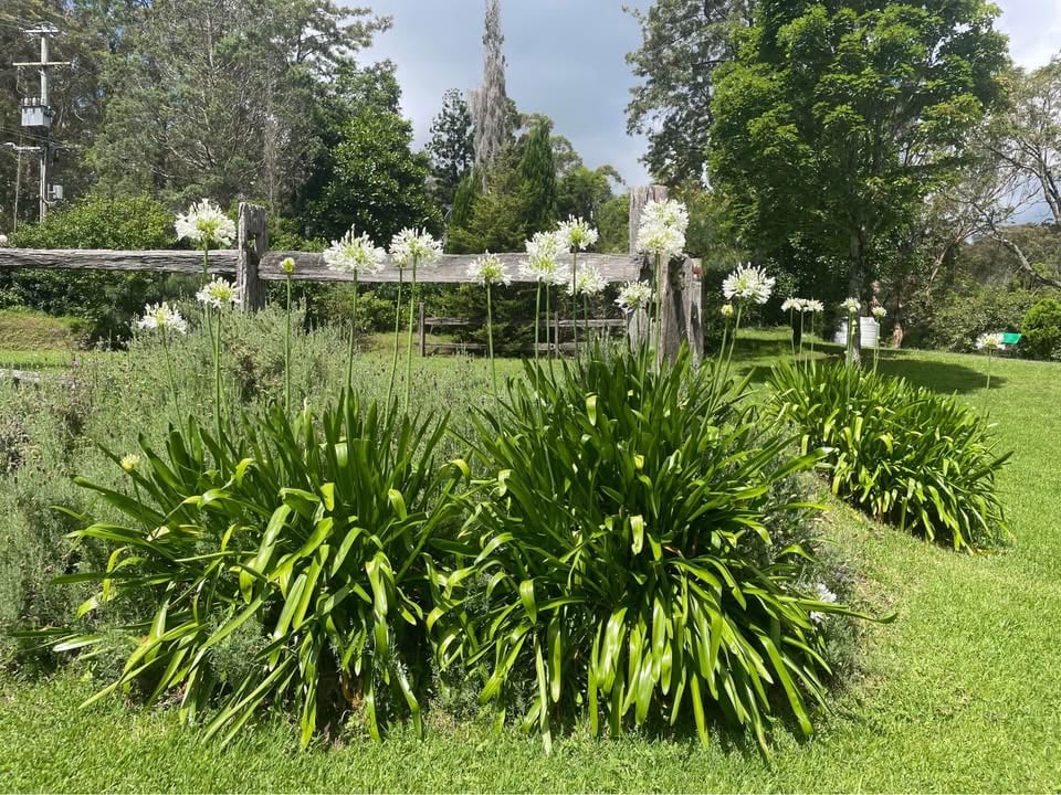 Mountain Getaway photo 4