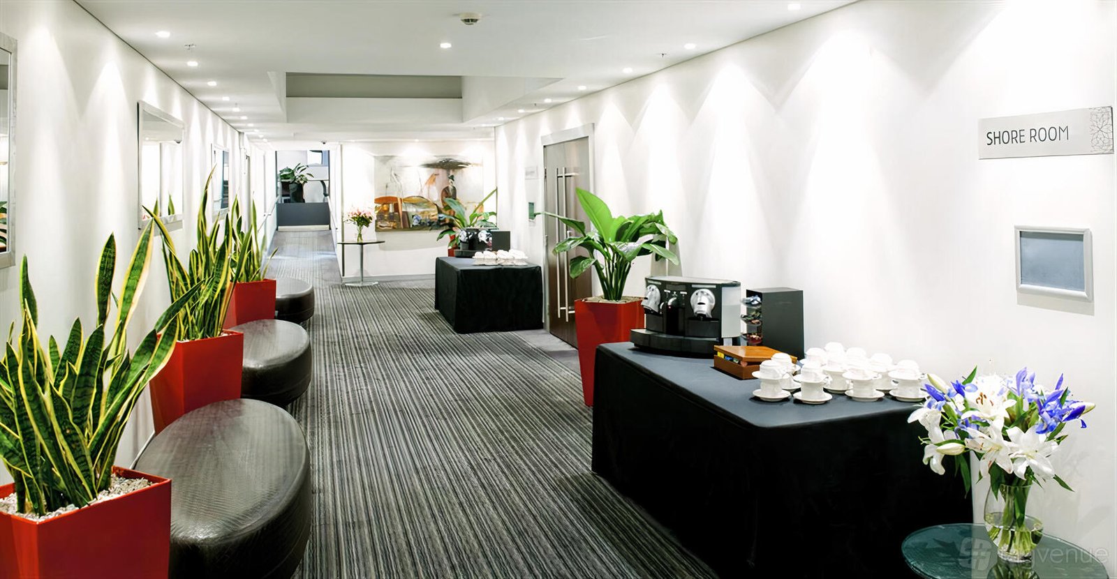Shore Room at Mantra Chatswood photo 3