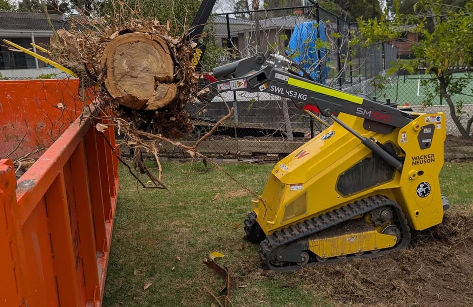 3 Day Hire $640 Kanga/Dingo. Free Delivery Manningham, Boroondara, Monash, Whitehorse, Maroondah. photo 2