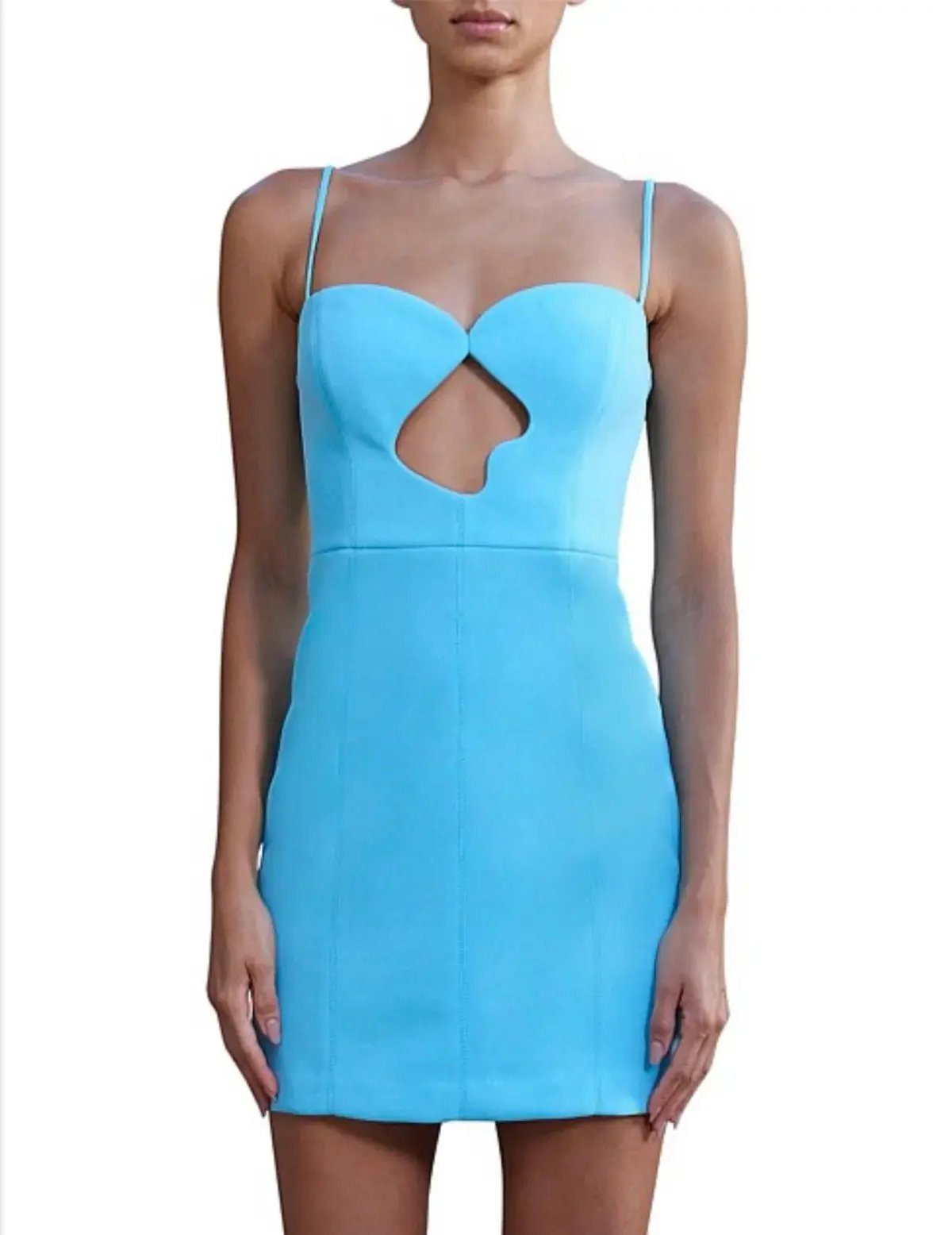Misha Brixton dress photo 2