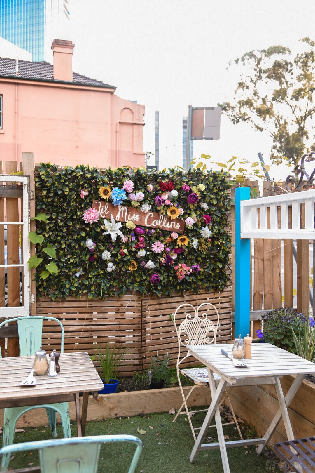 Garden at Lil Miss Collins Café Parramatta photo 8