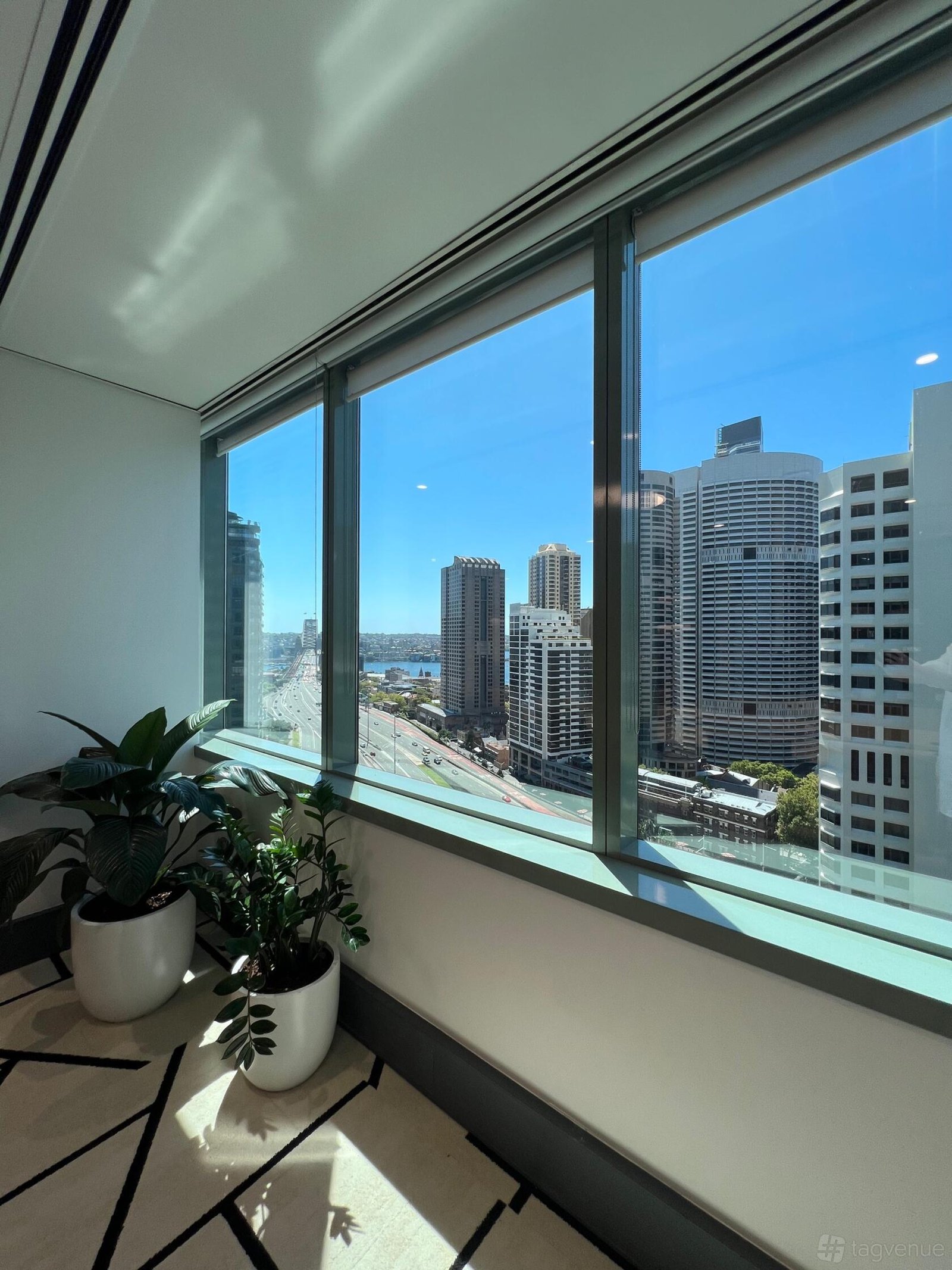 Large Meeting or Event Space at Royal Australasian College of Surgeons photo 5