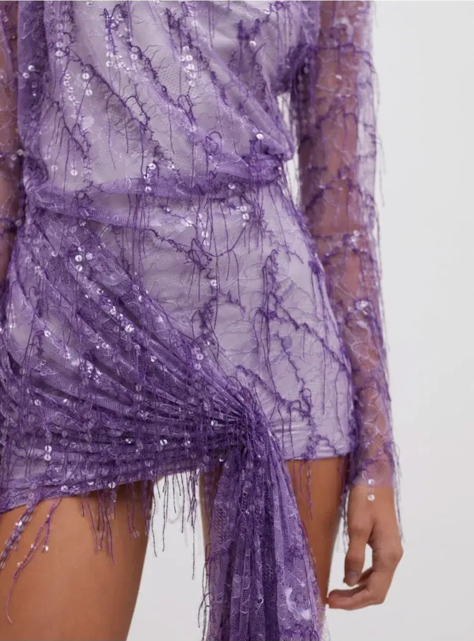 Christopher Esber Encased Beaded Ivy Lace Long Sleeve Mini Dress Grape Size 12 photo 6