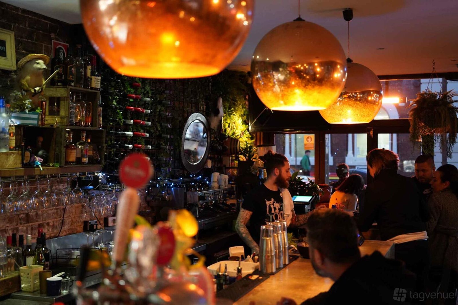Entire Venue at Corner Bar Rozelle photo 6