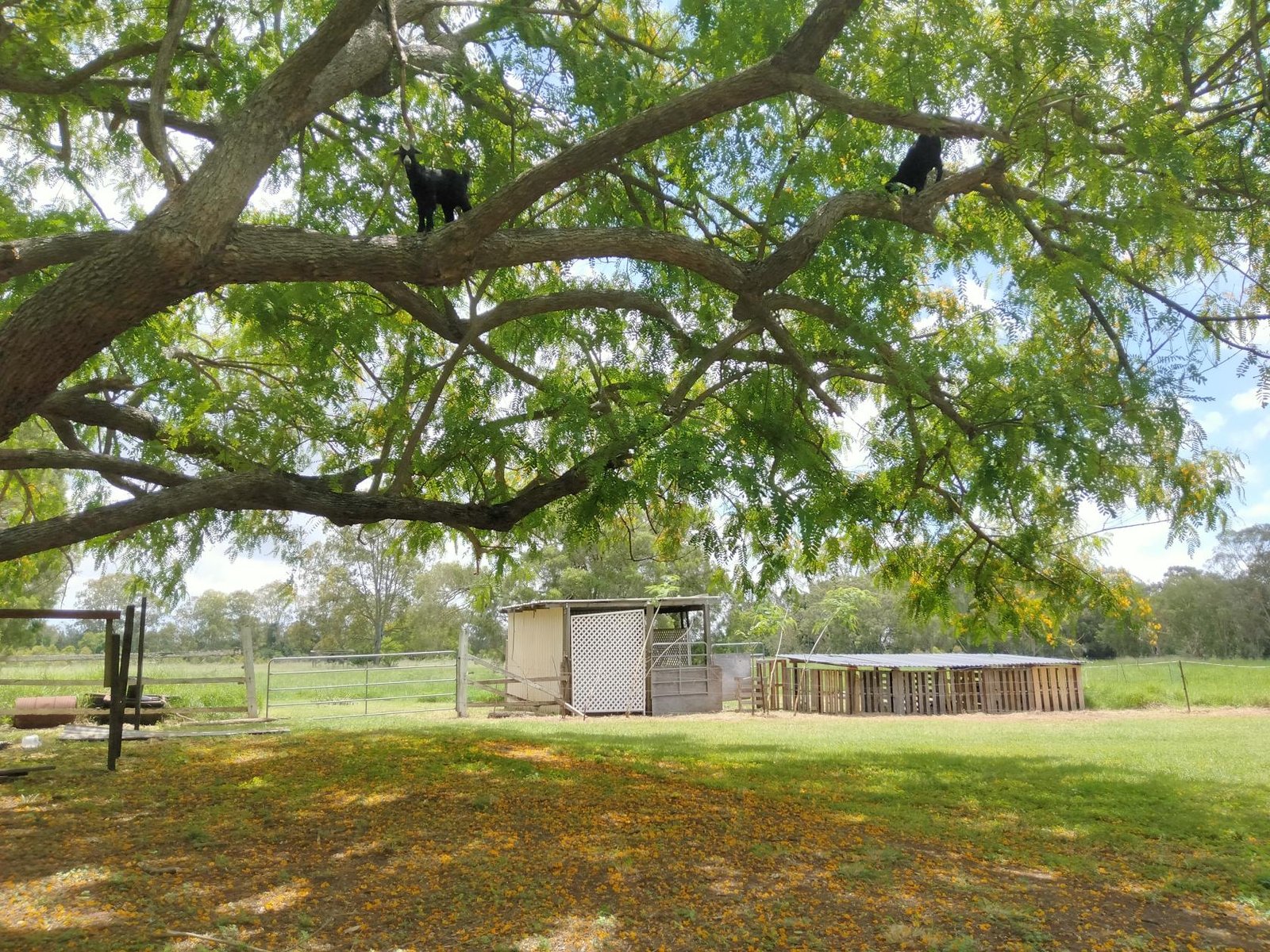 Riverside Spot at Lotus Events/ Goldhayven Farm photo 26