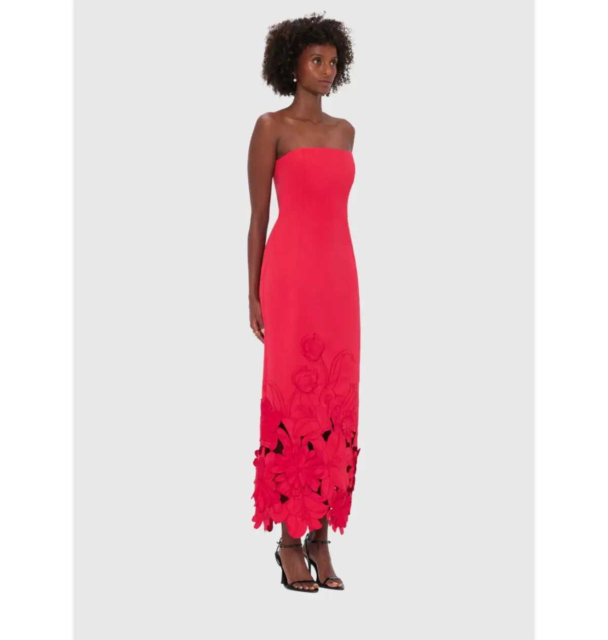 Leo Lin Rayna Appliqué Bustier Maxi Dress Rosa Size 12 photo 2