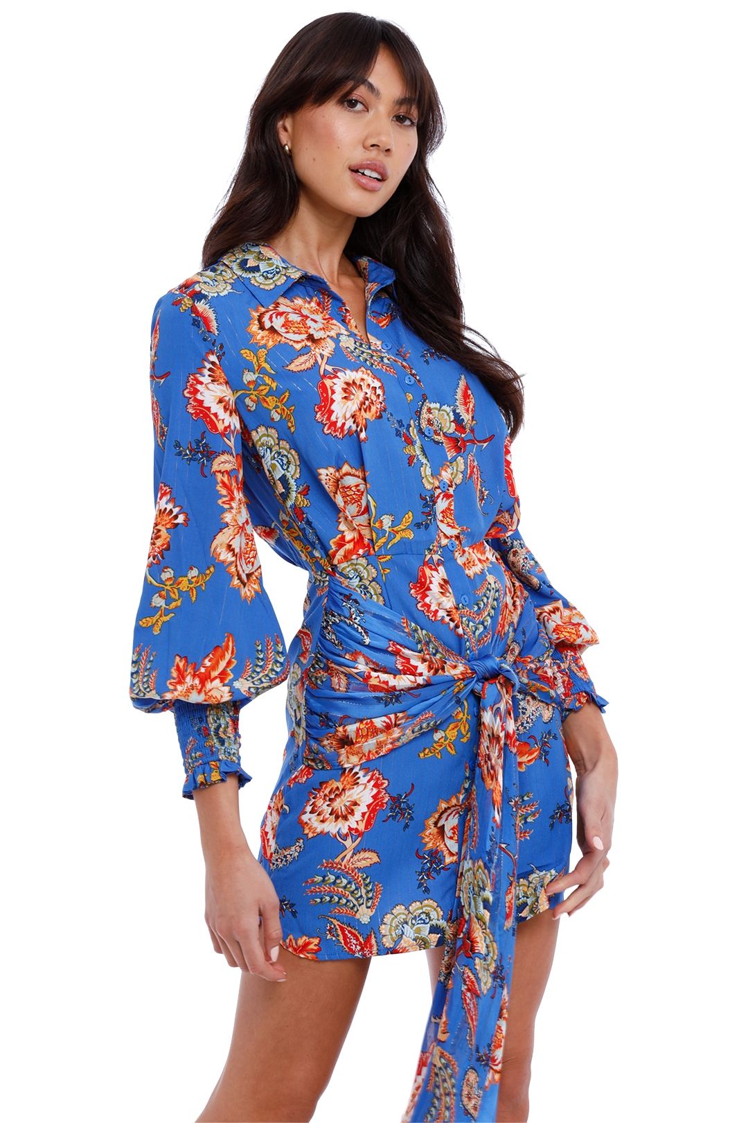 Independence Dress - Blue photo 4