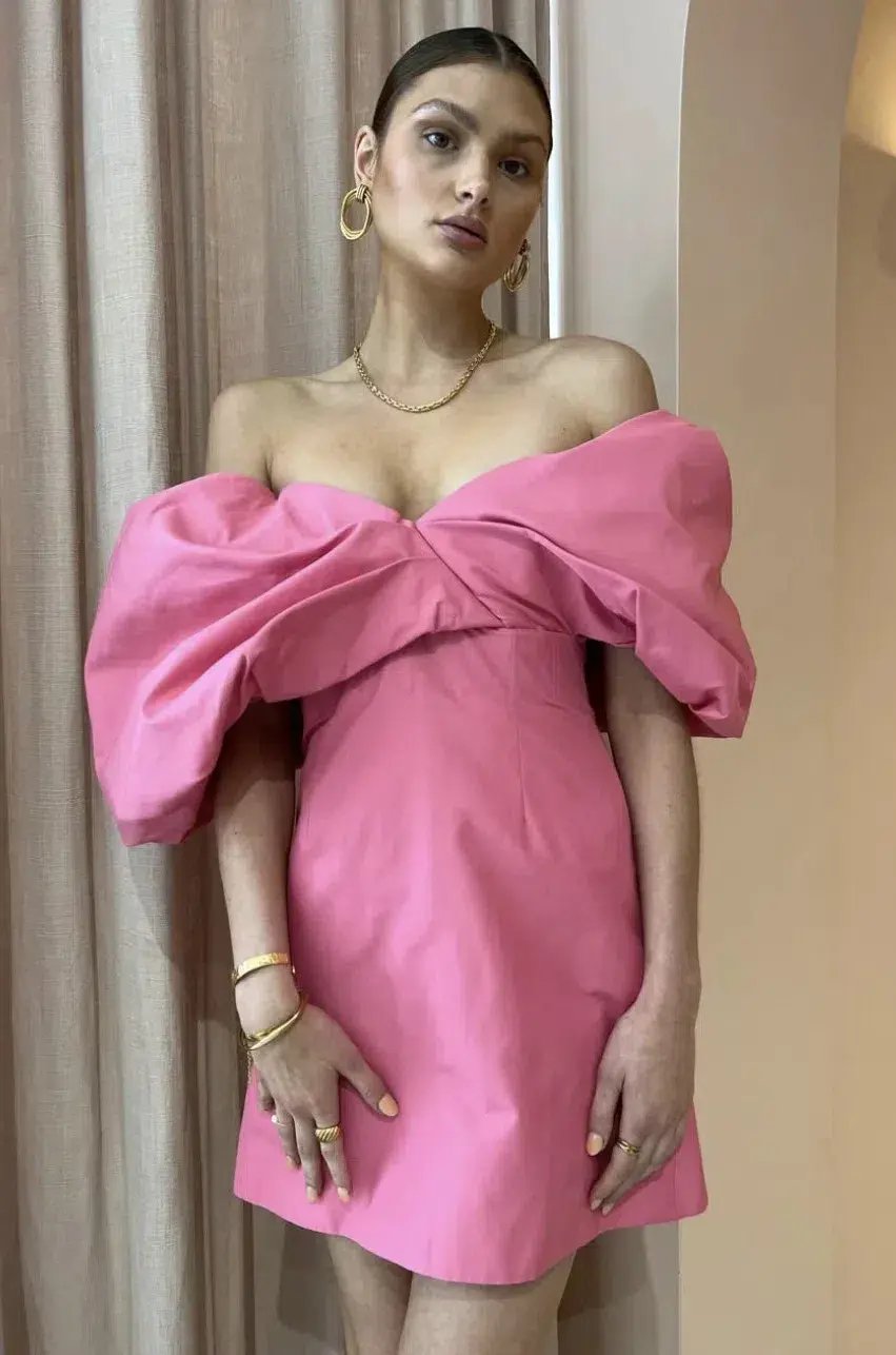 Rachel Gilbert Xavier Mini Dress Pink Size AU 12 photo 4
