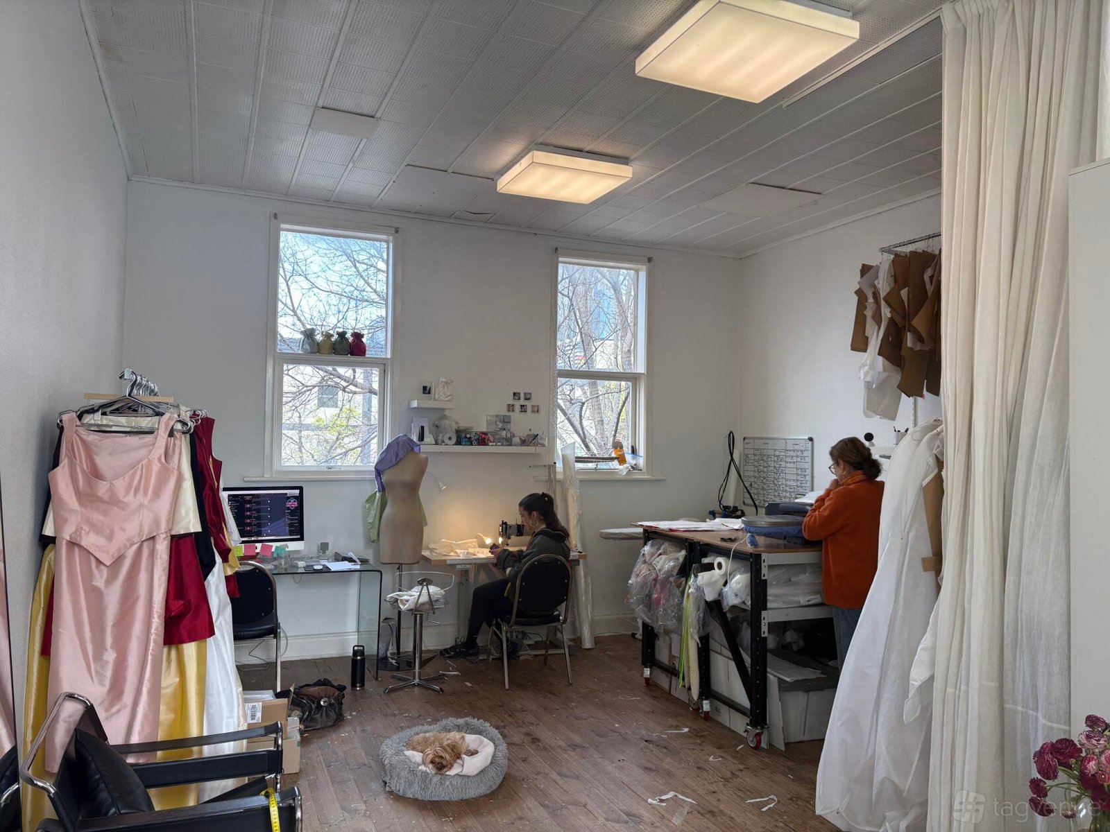 Studio at Creative/Office Studio photo 2