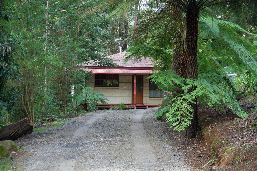 Fernglen Forrest Retreat photo 4