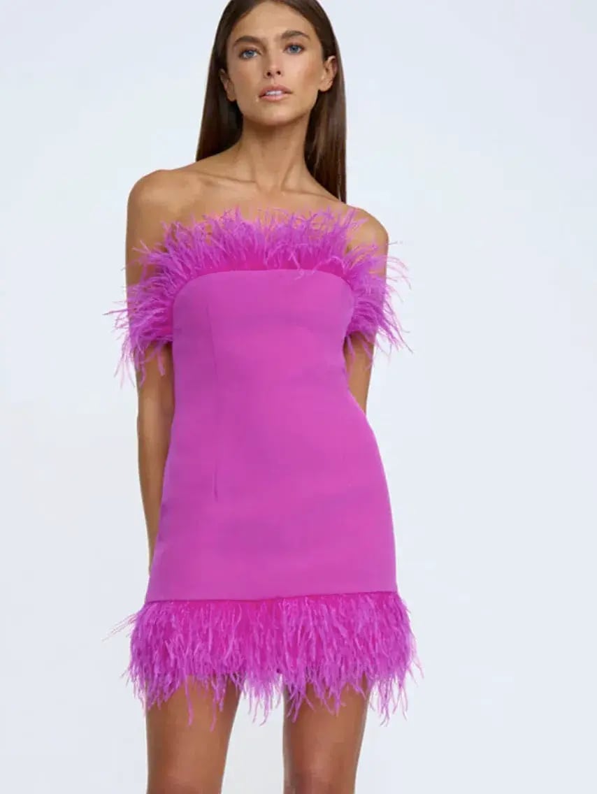 By Johnny Nadia Feather Mini Dress Pink Size 10 photo 5