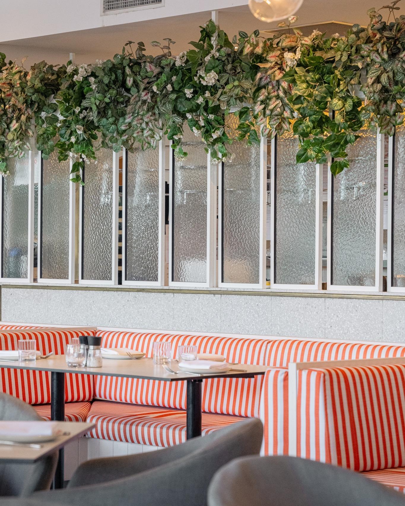 Full Venue at Massimo Restaurant & Bar photo 6
