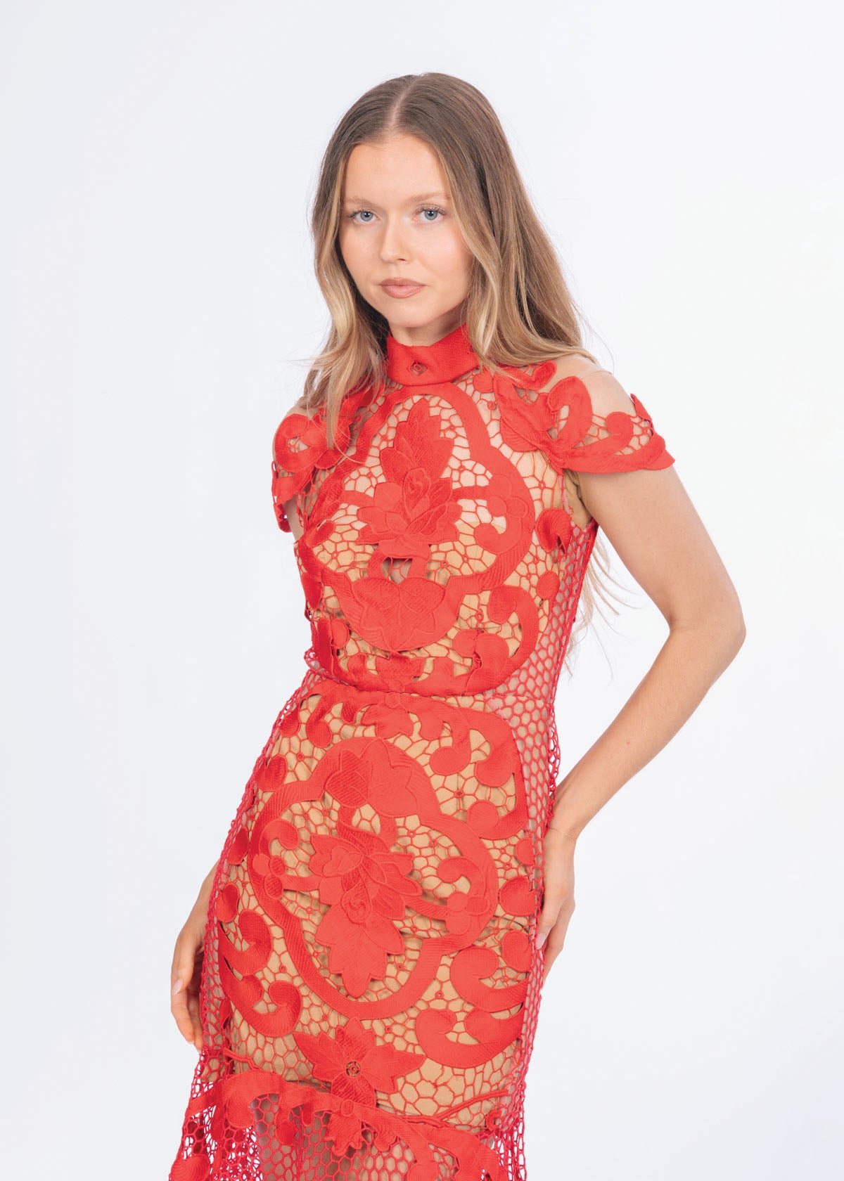 Rose Ceremony Midi Dress photo 2