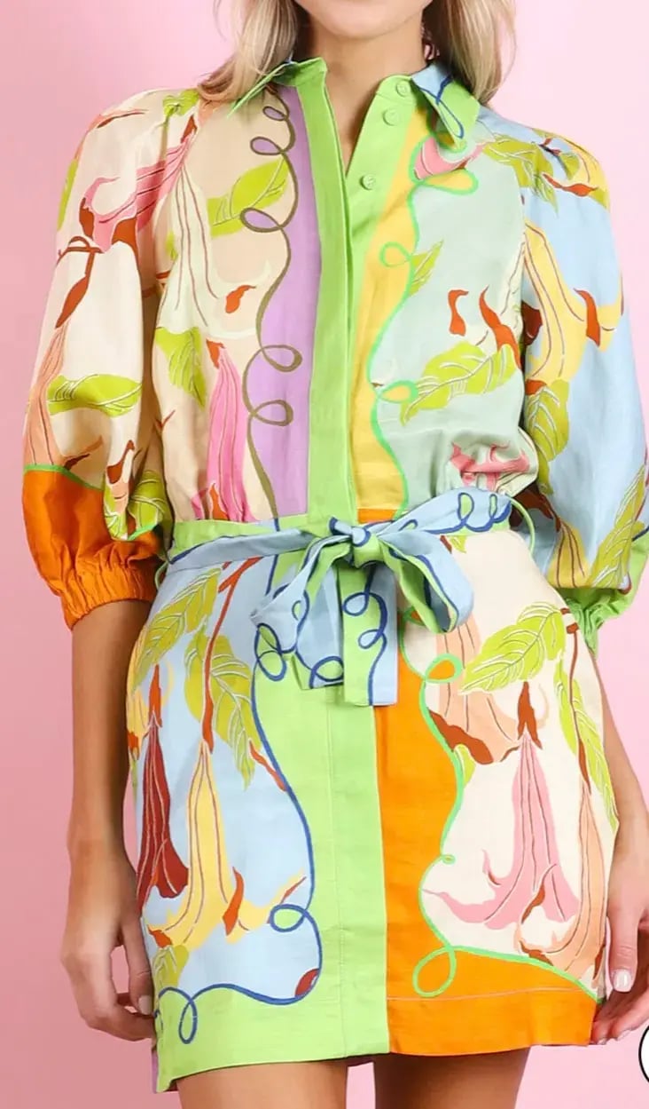 Alemais Rafaela Mini Dress Size 8 photo 2
