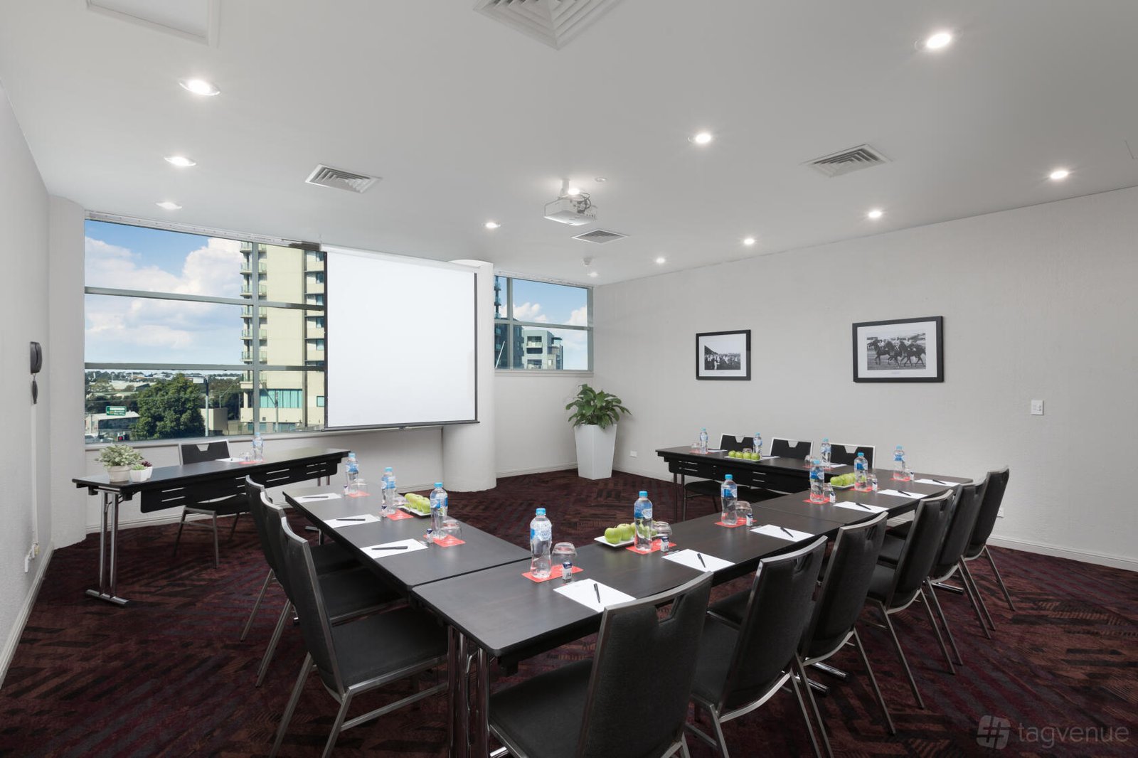 Makybe Diva at Rydges Parramatta photo 2