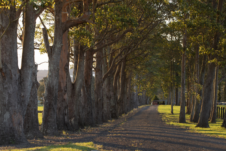 Somersby Estate photo 3