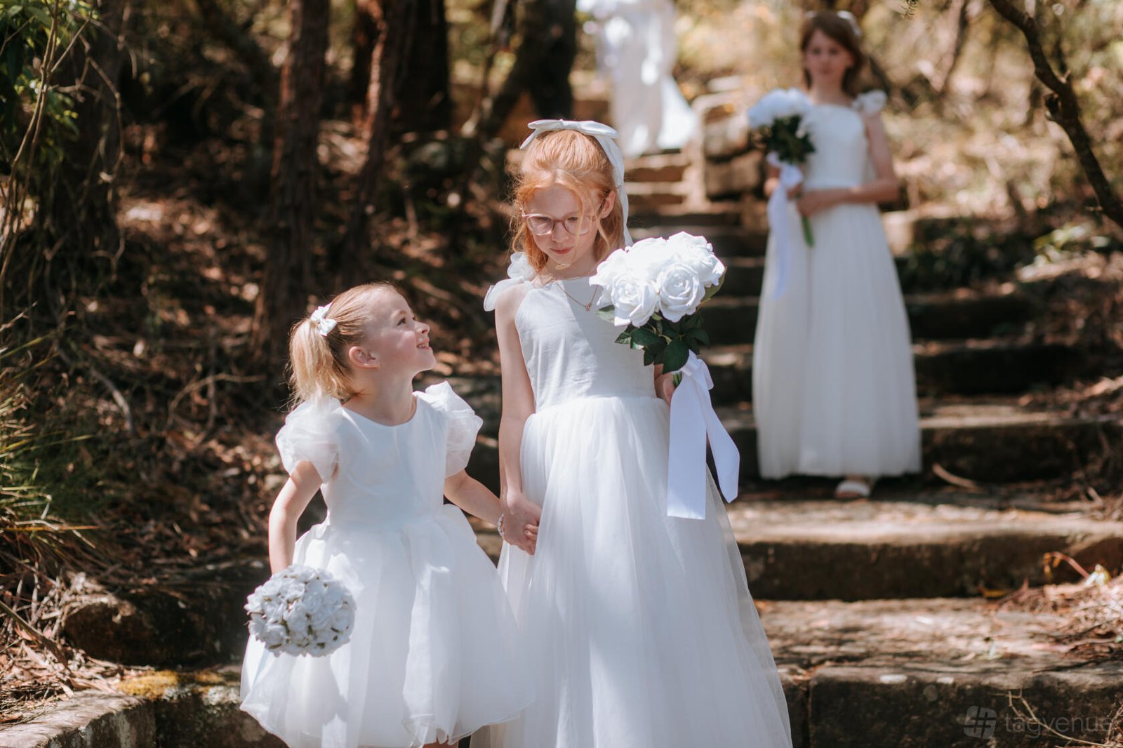 Leuralla Amphitheatre at Blue Mountains Weddings photo 14