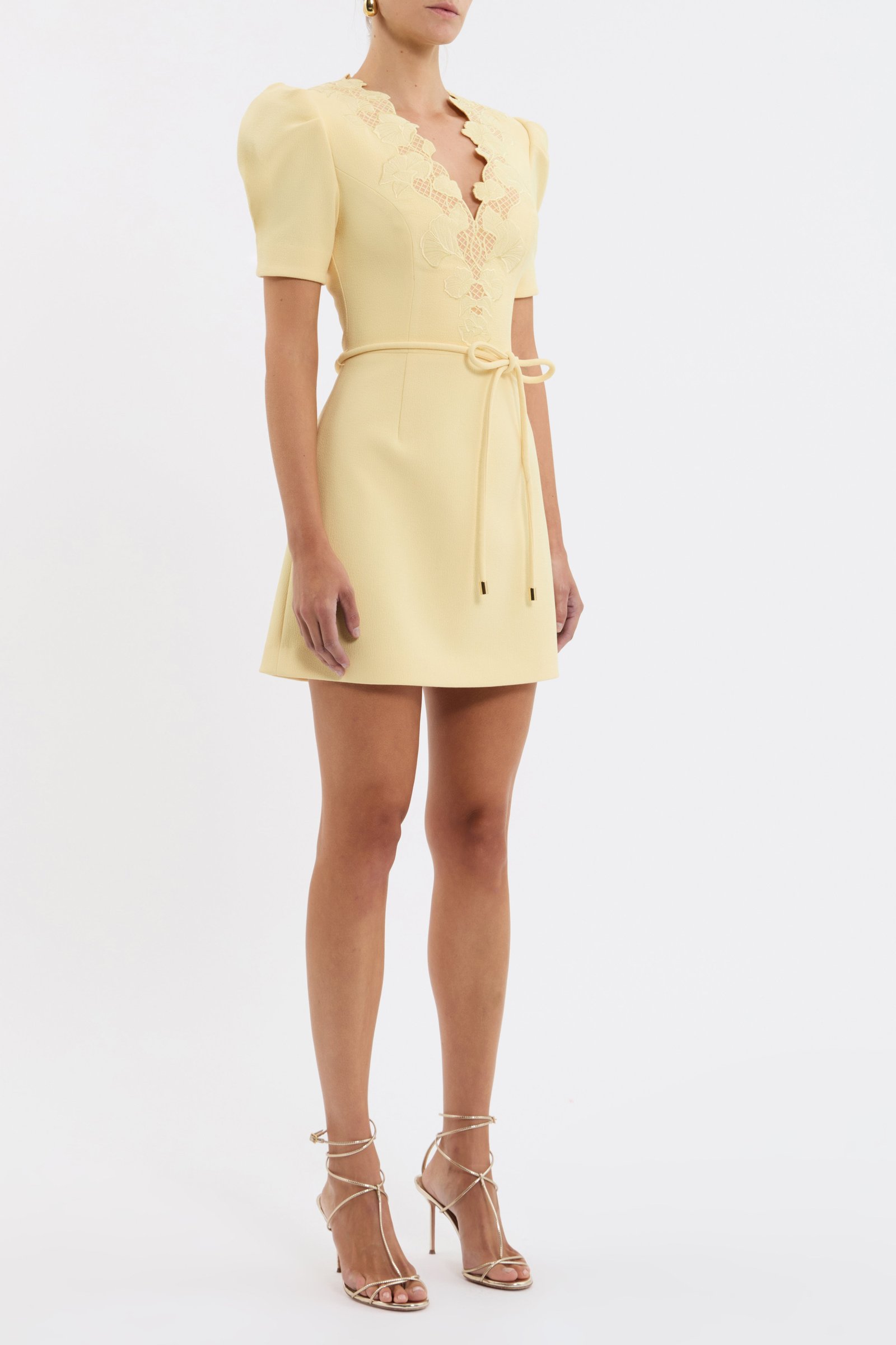 REBECCA VALLANCE LULU SHORT SLEEVE MINI DRESS - POPCORN photo 3