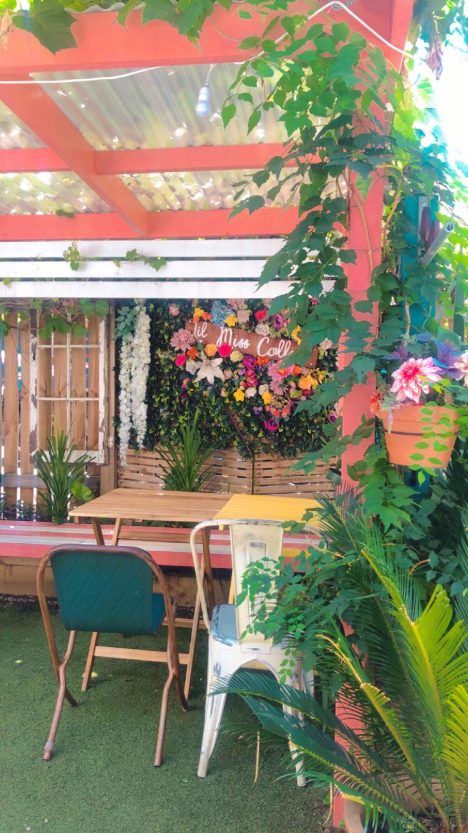 Garden at Lil Miss Collins Café Parramatta photo 10