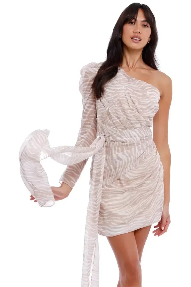 MISHA Jaylene Mini Dress Print Size 10 photo 2