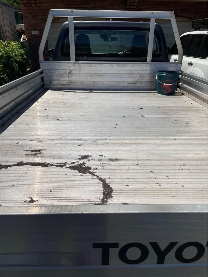 Manual workmate Ute 4 hire photo 4