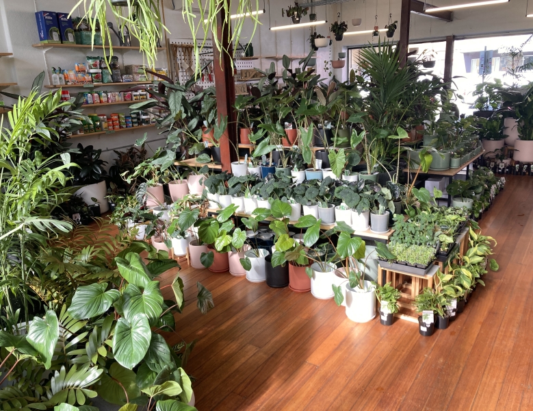 Lygon St Nursery photo 2
