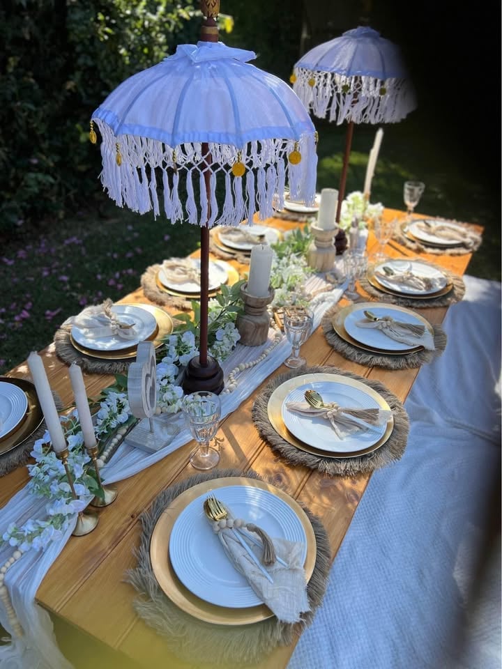 Hire - Luxury Picnic Setup for any occasions photo 8