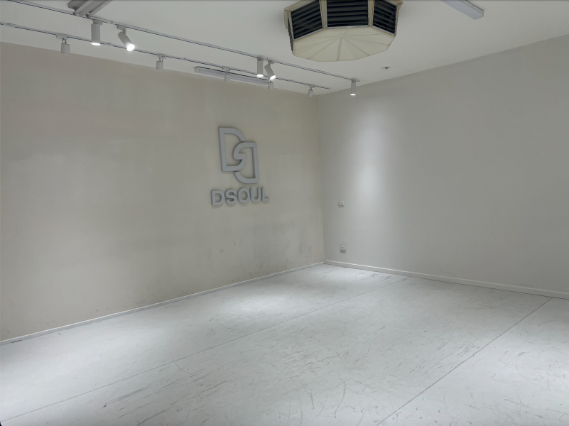 Dsoul Dance Studio - Studio A photo 2