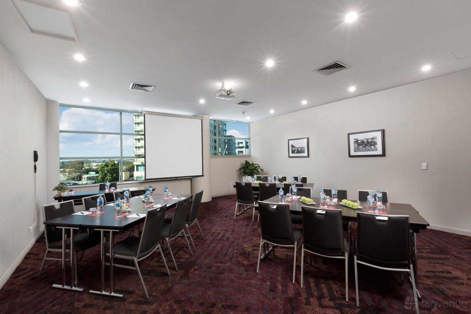 Makybe Diva at Rydges Parramatta photo 5
