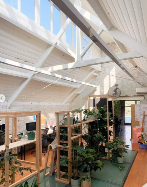 Office-share in plant-filled studio photo 2