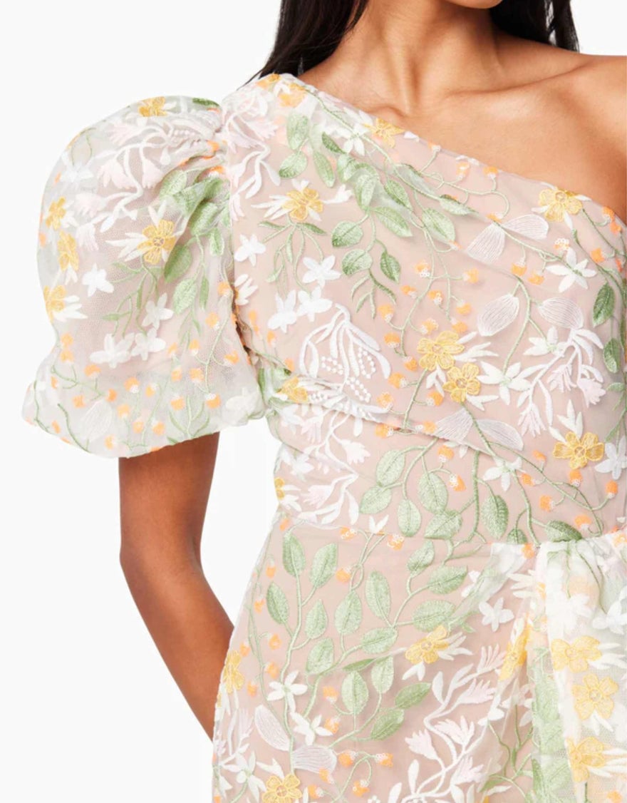 Elliatt Dome Asymmetrical Dress photo 2